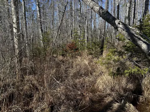 365 Cushing Rd, Cushing, ME 04563 photo 28
