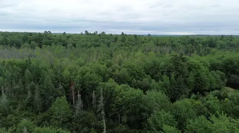 365 Cushing Rd, Cushing, ME 04563 photo 27