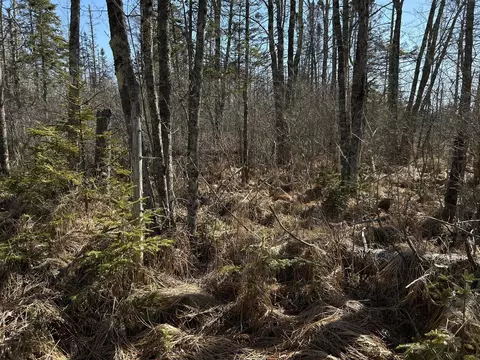 365 Cushing Rd, Cushing, ME 04563 photo 11