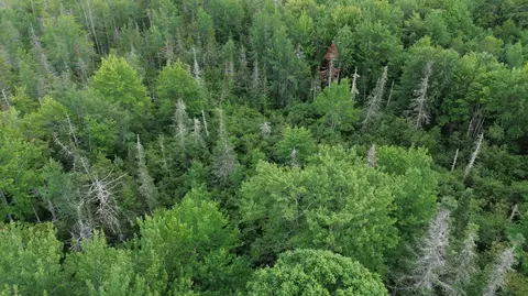 365 Cushing Rd, Cushing, ME 04563 photo 3
