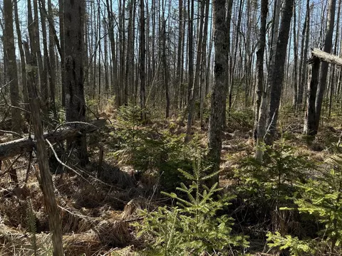 365 Cushing Rd, Cushing, ME 04563 photo 15