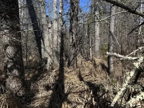 365 Cushing Rd, Cushing, ME 04563 photo 27