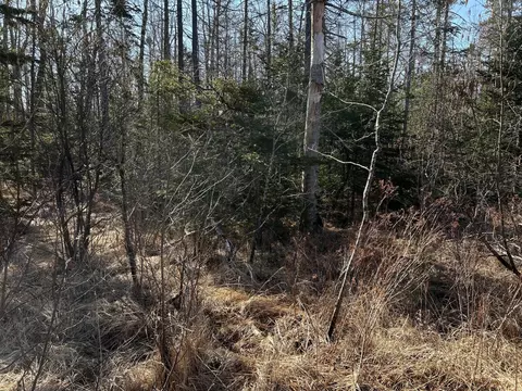 365 Cushing Rd, Cushing, ME 04563 photo 6