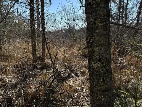 365 Cushing Rd, Cushing, ME 04563 photo 5