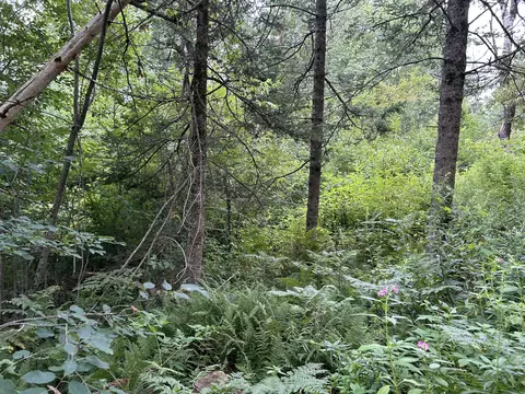 365 Cushing Rd, Cushing, ME 04563 photo 25