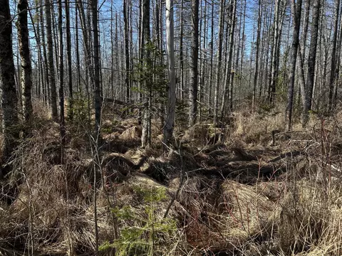 365 Cushing Rd, Cushing, ME 04563 photo 23