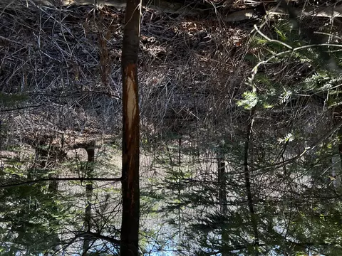365 Cushing Rd, Cushing, ME 04563 photo 10