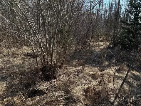 365 Cushing Rd, Cushing, ME 04563 photo 2