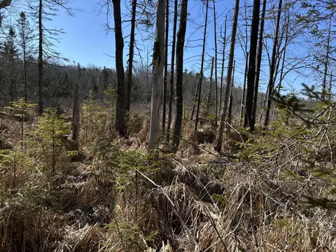 365 Cushing Rd, Cushing, ME 04563 photo 8
