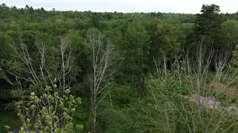 365 Cushing Rd, Cushing, ME 04563 photo 4