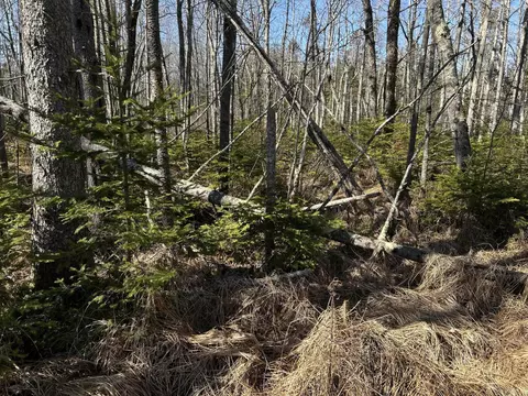 365 Cushing Rd, Cushing, ME 04563 photo 17