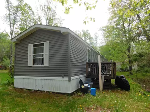 46 Robichaud Rd, Levant, ME 04456 photo 6