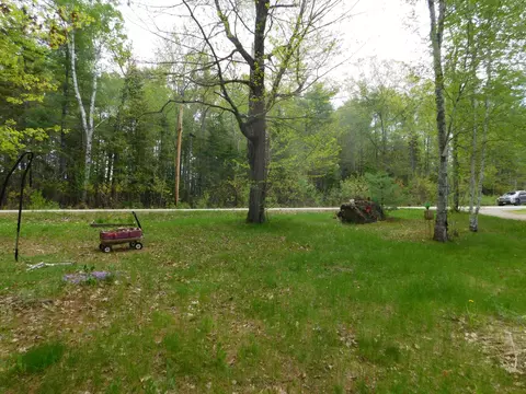 46 Robichaud Rd, Levant, ME 04456 photo 5