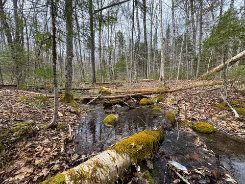 Other - 242 Bottle Lake Rd, Springfield, ME 04487 photo 13 of 18