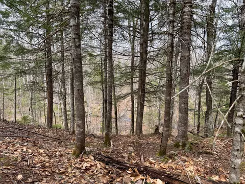 View/Area - 242 Bottle Lake Rd, Springfield, ME 04487 photo 6 of 6