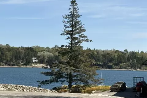 lot116010 Martin Point Rd, Friendship, ME 04547