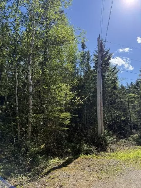 Other - 1175 Us-1, Robbinston, ME 04671 photo 31 of 40