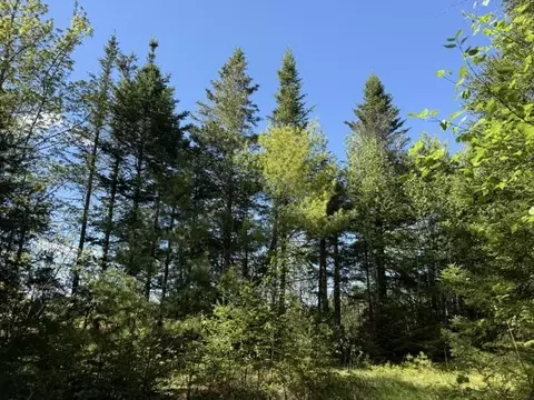 Other - 1175 Us-1, Robbinston, ME 04671 photo 35 of 40