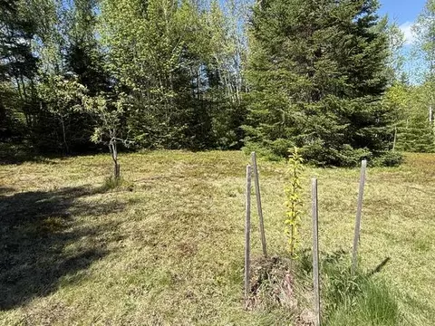 Exterior - 1175 Us-1, Robbinston, ME 04671 photo 32 of 59