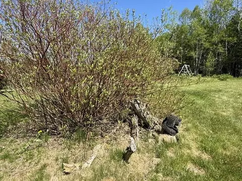 Exterior - 1175 Us-1, Robbinston, ME 04671 photo 34 of 59