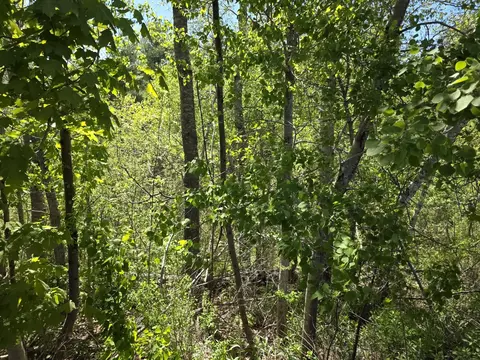 4 Goose River Ests, Swanville, ME 04915
