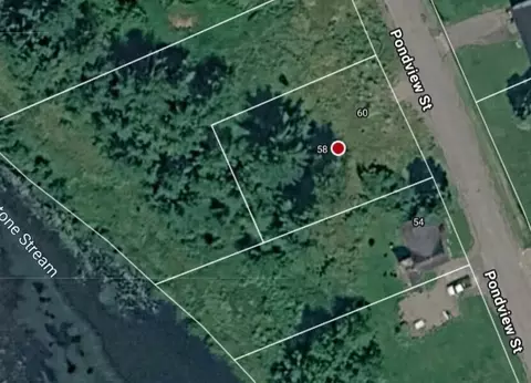 58 Pondview St, Limestone, ME 04750