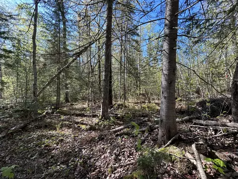 M8/l17a Bald Mt Road, Rangeley Plt, ME 04964