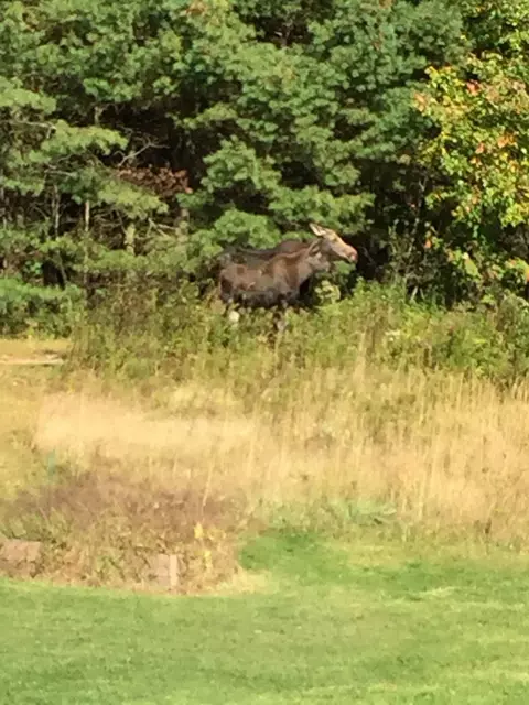 Other - 44 Holmes Ln, Cushing, ME 04563 photo 3 of 37
