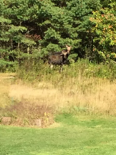 Other - 44 Holmes Ln, Cushing, ME 04563 photo 4 of 37
