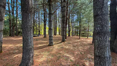Exterior - 49 Hughes Rd, Mapleton, ME 04757 photo 4 of 7