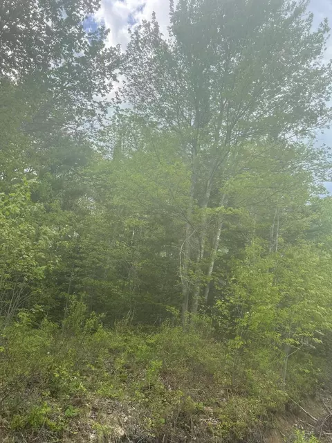 1 Morse District Rd N, Steuben, ME 04680