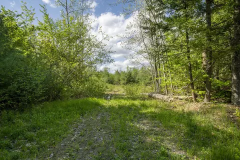 56 Burnham Rd, Limerick, ME 04048 photo 4