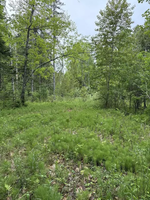 tbd Fitz Rd #001-018, Kenduskeag, ME 04450
