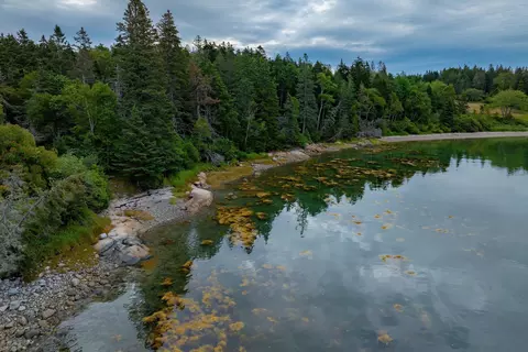 View/Area - 163 Back Rd, Brooklin, ME 04616 photo 25 of 39