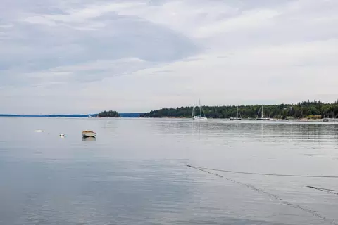 View/Area - 163 Back Rd, Brooklin, ME 04616 photo 37 of 39