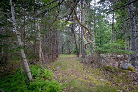 Exterior - 163 Back Rd, Brooklin, ME 04616 photo 3 of 23