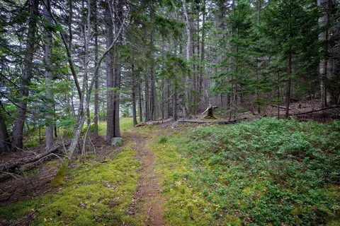 Exterior - 163 Back Rd, Brooklin, ME 04616 photo 4 of 23