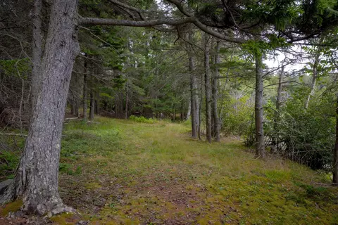 Exterior - 163 Back Rd, Brooklin, ME 04616 photo 23 of 23