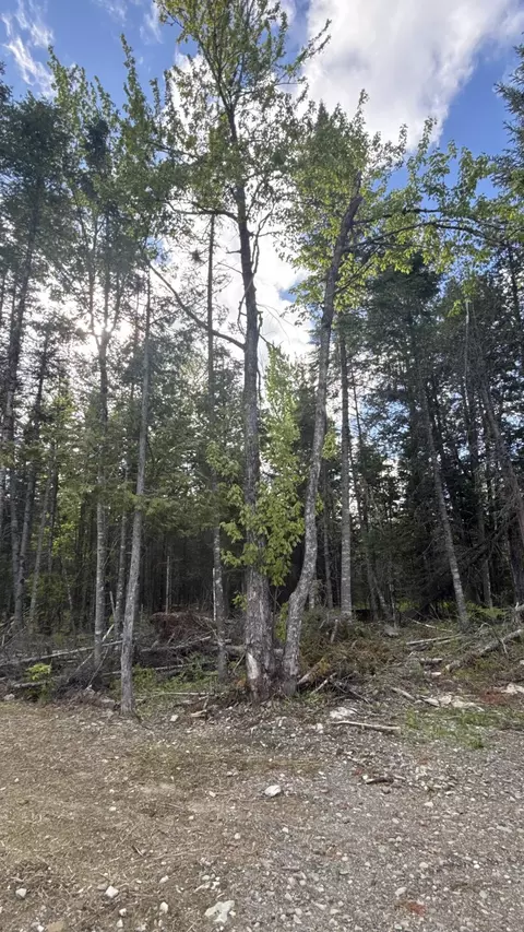 124 Goff Rd, Sangerville, ME 04479 photo 44