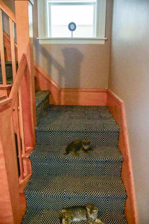 Entry Way - 17 Katahdin Ave, Millinocket, ME 04462 photo 4 of 10