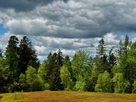 lot1 2b Elm St, Machias, ME 04654