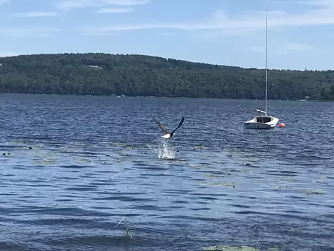 View/Area - 34 Androscoggin Loop, Leeds, ME 04263 photo 14 of 15