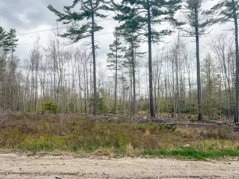 lot E A East Main St, Denmark, ME 04022 photo 23