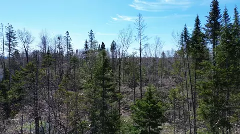 31 B Road # m 1, Hammond, ME 04730