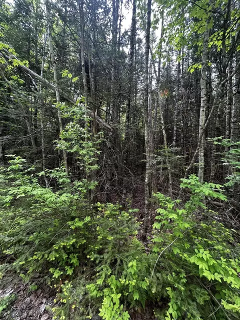 lot9 3 Lilly Dr, Newport, ME 04953