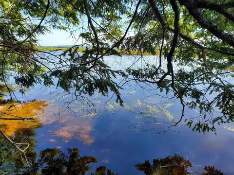 lot7 Heath Rd, Mariaville, ME 04605