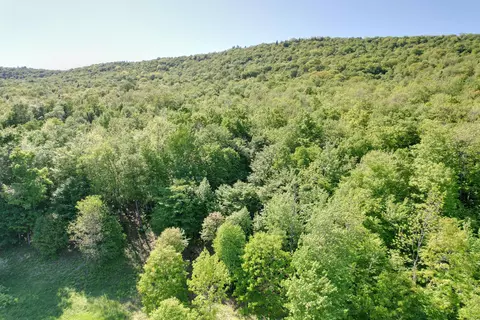 View/Area - 233 Weld Rd, Phillips, ME 04966 photo 7 of 7