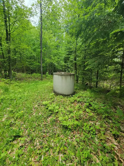 Exterior - 233 Weld Rd, Phillips, ME 04966 photo 8 of 11