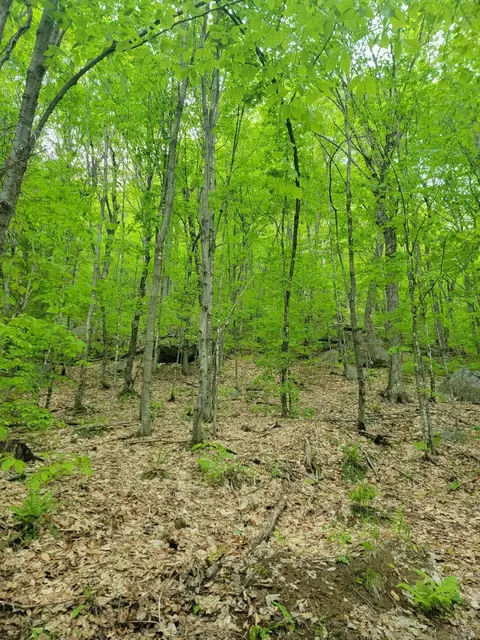 Other - 233 Weld Rd, Phillips, ME 04966 photo 16 of 16