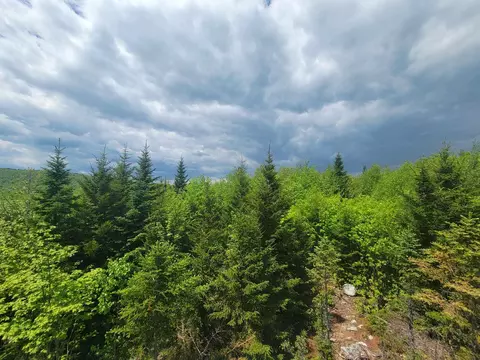 Other - 233 Weld Rd, Phillips, ME 04966 photo 12 of 16